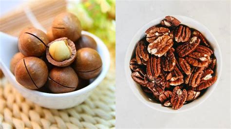 are macadamia nuts similar to pecans